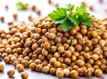 Coriander Seeds