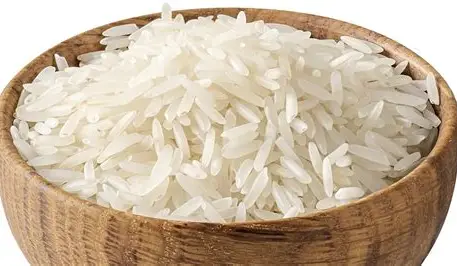 Rice